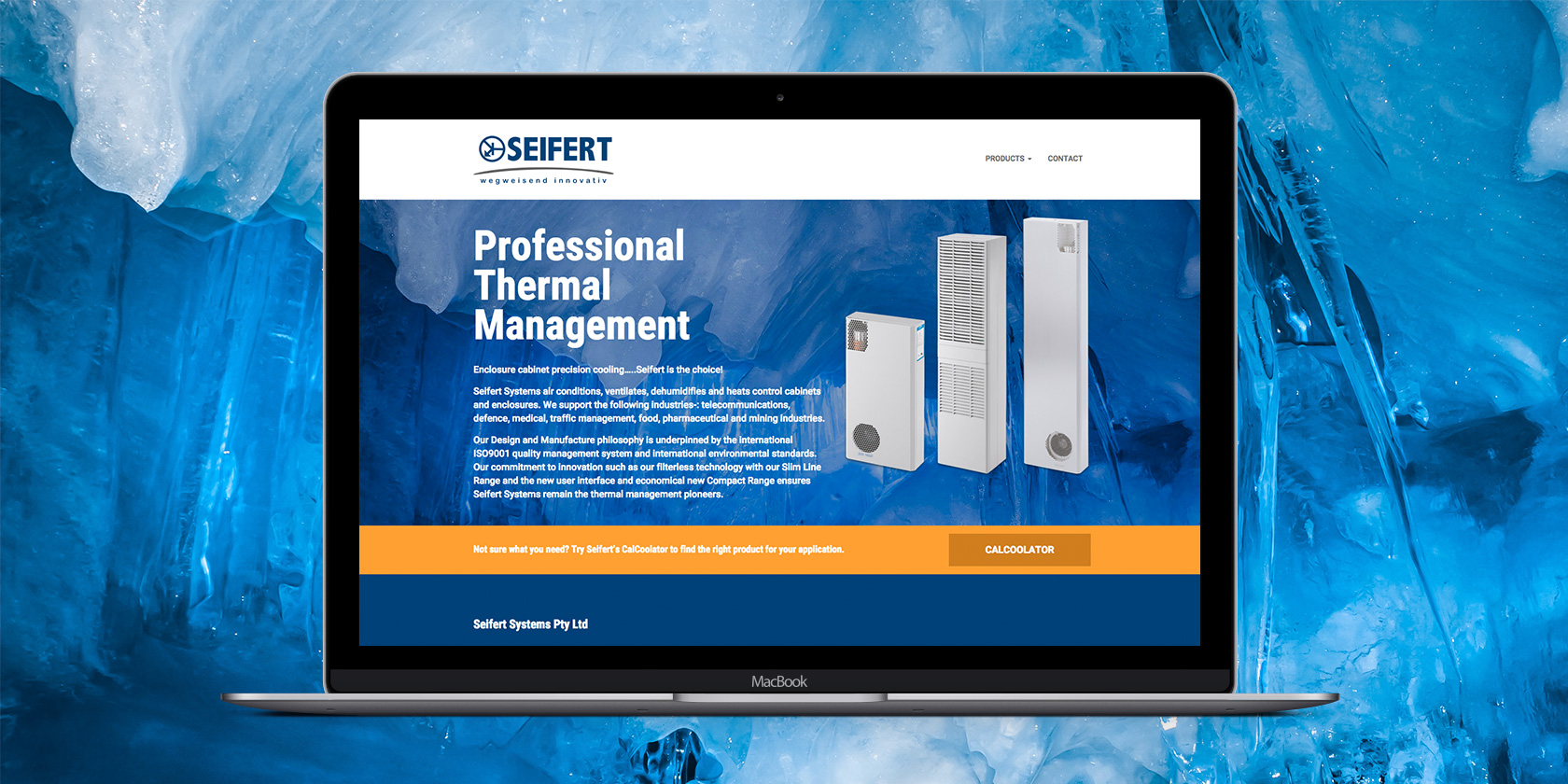Seifert Systems Website 0